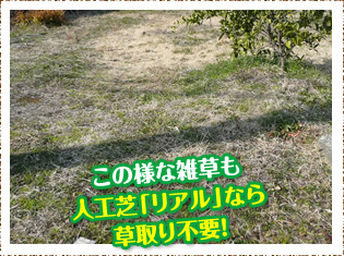 施工事例
